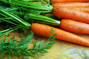 CAROTA