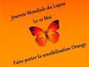 Journée mondiale du lupus