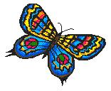 papillon