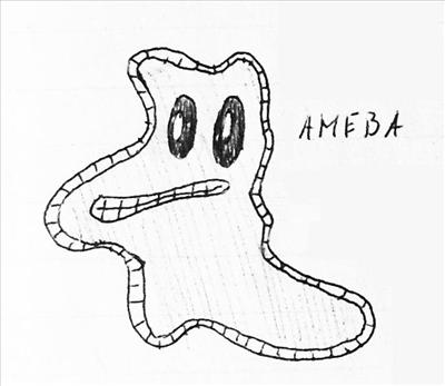 Ameba