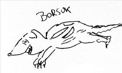Borsuk
