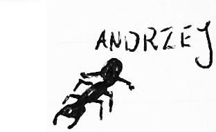 Andrzej