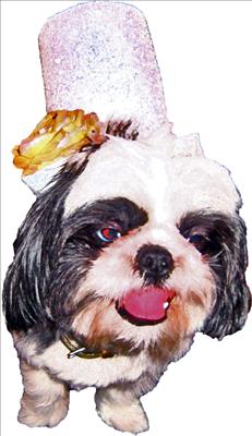 Guffman the Glittery Groom (Baby's Father)