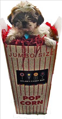 Popcorn Baby