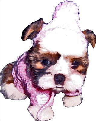 Winter Baby 