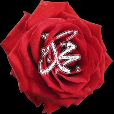 Allâhümme bârik alâ Muhammedin ve alâ âli Muhammed. Kemâ bârekte alâ İbrahime ve alâ âli İbrahim. İnneke hamidün mecîd.(اَللَّهُمَّ بَارِكْ عَلَى مُحَمَّدٍ وَ عَلَى ﺁلِ مُحَمَّدٍ * كَمَا بَارَكْتَ عَلَى اِبْرَاهِيمَ وَ عَلَى ﺁلِ اِبْرَاهِيمَ * اِنَّكَ حَمِيدٌ مَجِيدٌ)
