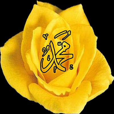 Allâhümme bârik alâ Muhammedin ve alâ âli Muhammed. Kemâ bârekte alâ İbrahime ve alâ âli İbrahim. İnneke hamidün mecîd.(اَللَّهُمَّ بَارِكْ عَلَى مُحَمَّدٍ وَ عَلَى ﺁلِ مُحَمَّدٍ * كَمَا بَارَكْتَ عَلَى اِبْرَاهِيمَ وَ عَلَى ﺁلِ اِبْرَاهِيمَ * اِنَّكَ حَمِيدٌ مَجِيدٌ)
