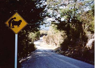 Sign 19
