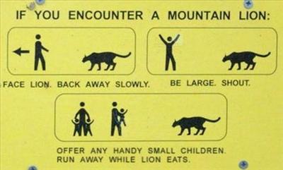 Sign 1