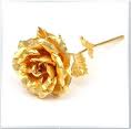 Golden Rose 