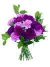 Purple Bouquet