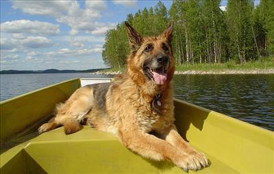 Boating