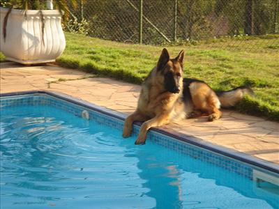 Poolside