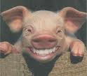 kichono feliz