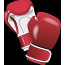 Guantoni da boxe
