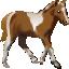 Pony