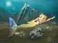 betty boop the mermaid