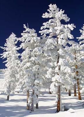 Snow