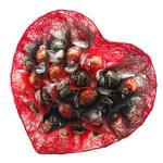 Red Heart Chocolates