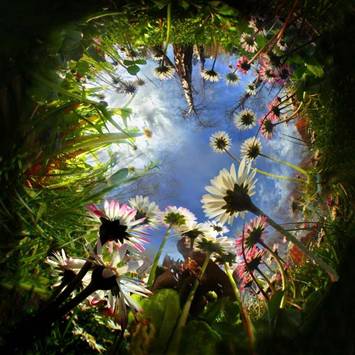 Its a small world...