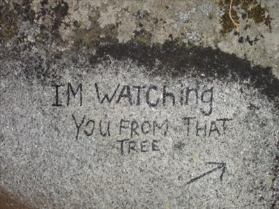 I`m watching you..