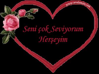 seni seviyorum
