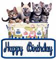 Kitty Happy Birthday