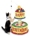 Playful Happy Birthday