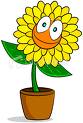 Flower 15