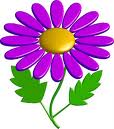 Flower 14