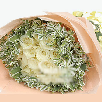 Flower 10