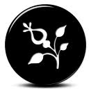 Flower 28