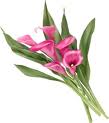Flower 22