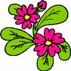 Flower 18