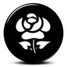 Flower 27