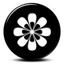 Flower 29