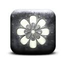 Flower 30