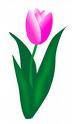 Flower 26