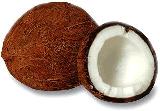 Coconut
