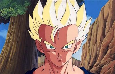 gohan