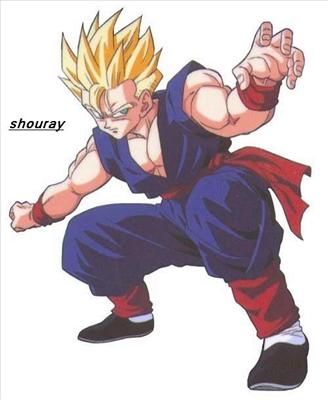 gohan fighting stance
