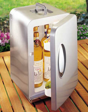 Portable Mini Fridge