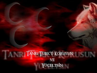 Bozkurt & 3 Hilal
