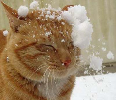SnowballHit02