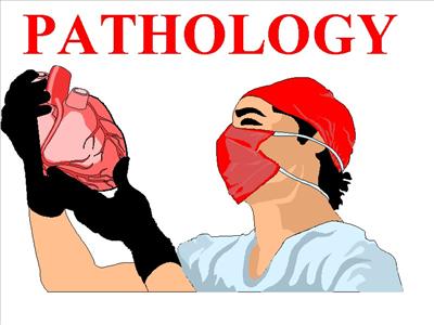 pathology