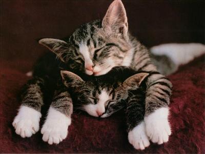 chillax dont worry