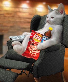 can i be lazy like you someday ?