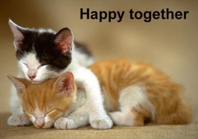 we will always stay together