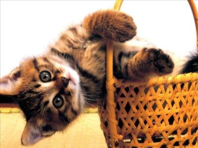what are you looking at ?