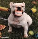 Un sorriso.......